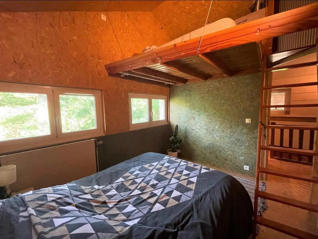 Logement A Toulouse Dans Un Ecrin De Verdure Hotel France
