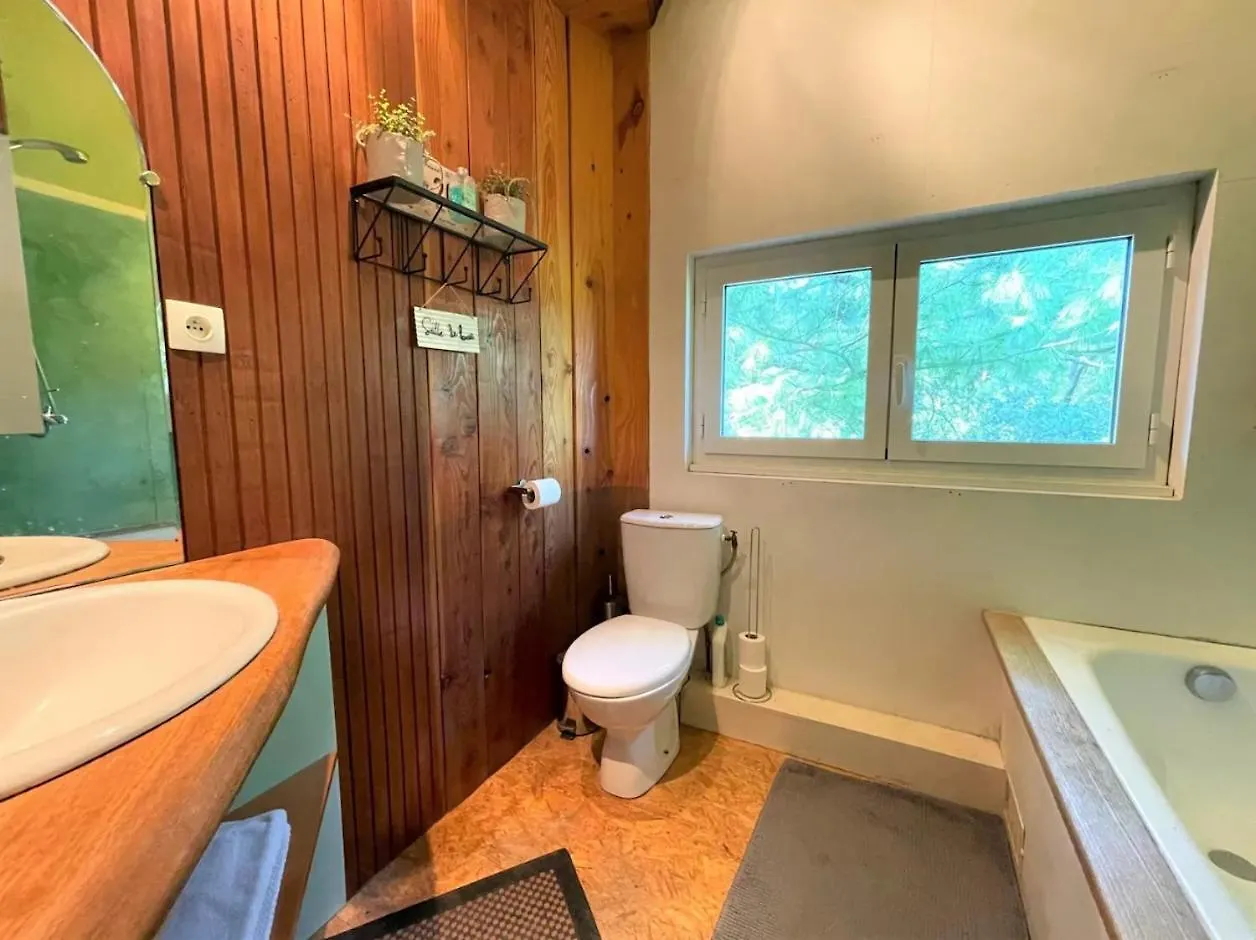 Logement A Toulouse Dans Un Ecrin De Verdure Hotel